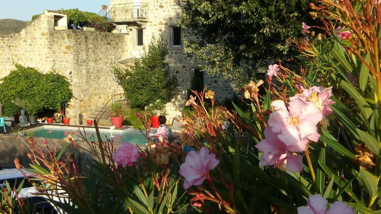 Mas De La Musardiere Ferienhaus Les Assions