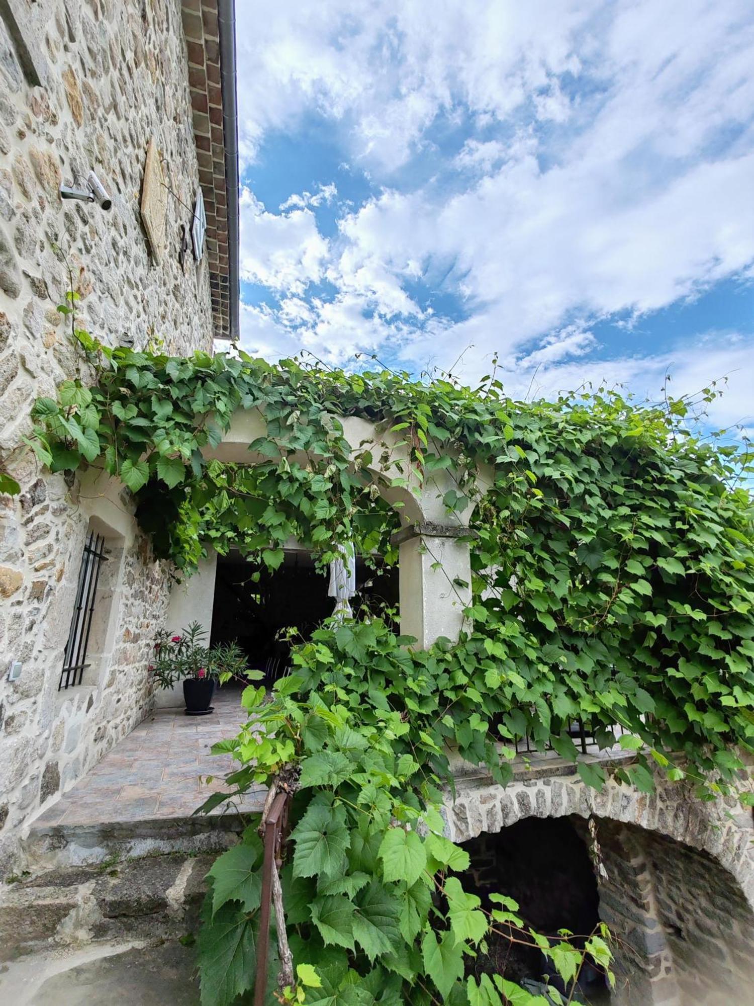 Mas De La Musardiere * Les Assions